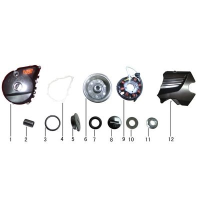 Left Crankcase Cover & Magneto