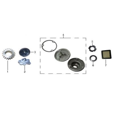 Oil Pump & Oil Filter