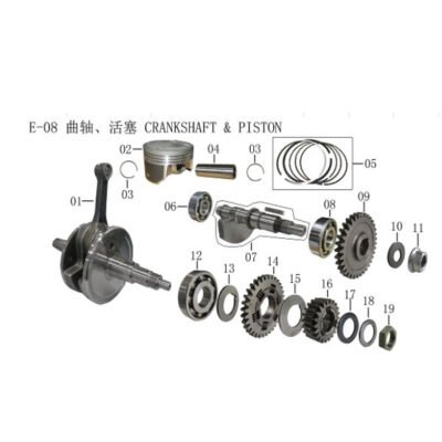 Crankshaft & Piston